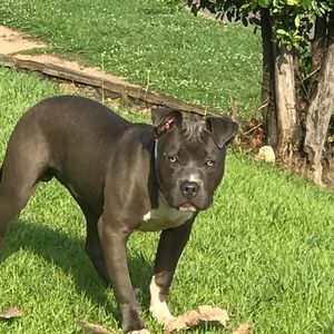 Meet your Posher, Ian